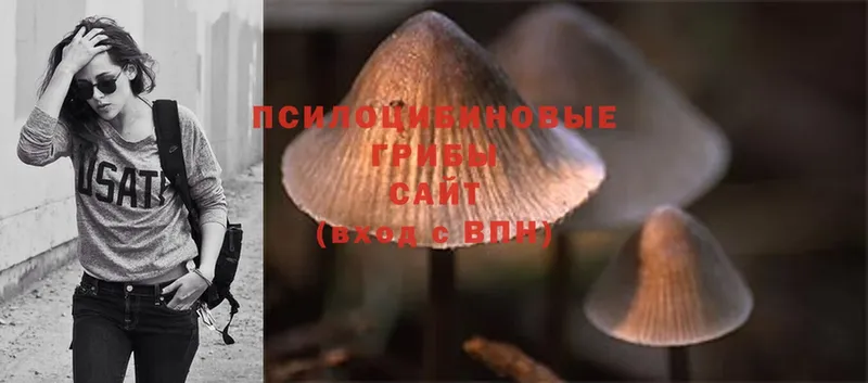 хочу   Курск  Псилоцибиновые грибы Magic Shrooms 