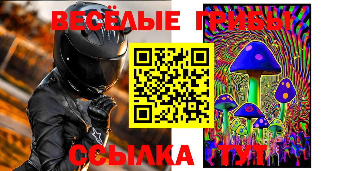 Псилоцибиновые грибы мицелий Курск